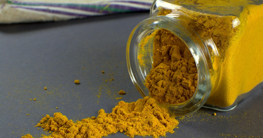 Top 5 Benefits of Turmeric for Dogs
